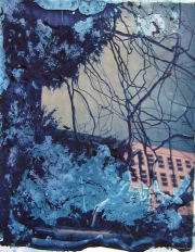 Polaroid - Metal Tree 04